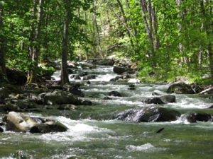 Backpacking Trip